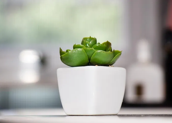 Appartement Rina- Heated Salt Water Pool Kaštela